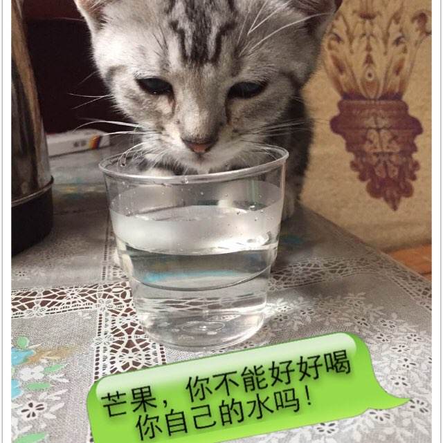 台湾国立台南大学学历认证